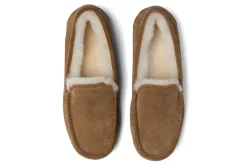 ABEO Amble Slipper