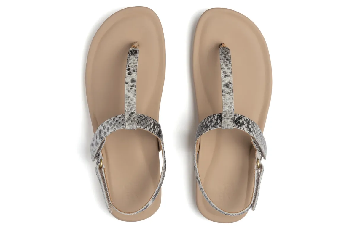 ABEO Oasis T Strap