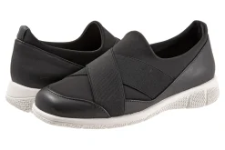 Trotters Urbana